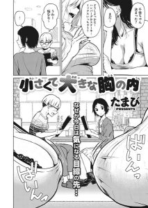 小さくて大きな胸の内 – hitomi エロ漫画