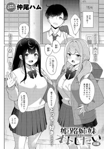 姫路姉妹はオトしたい – hitomi エロ漫画