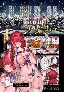 S家に嫁いだM嬢のクリスマス – hitomi エロ漫画